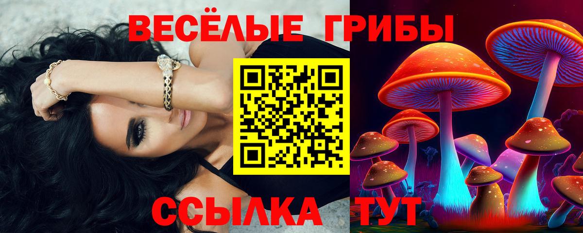 Галлюциногенные грибы MAGIC MUSHROOMS  Вход с VPN  Ялуторовск 